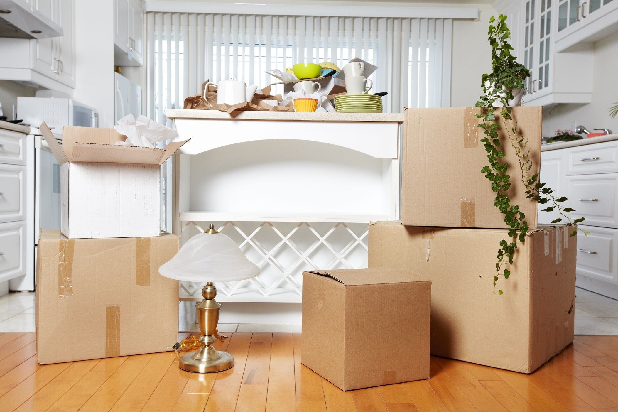 Moving & Storage Services 